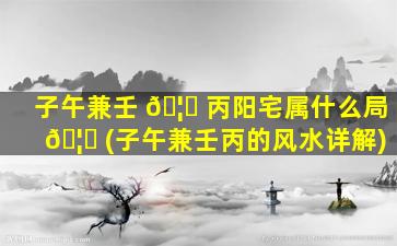 子午兼壬 🦄 丙阳宅属什么局 🦊 (子午兼壬丙的风水详解)